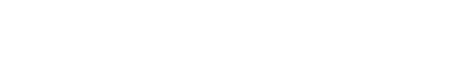VISA Credit Card
