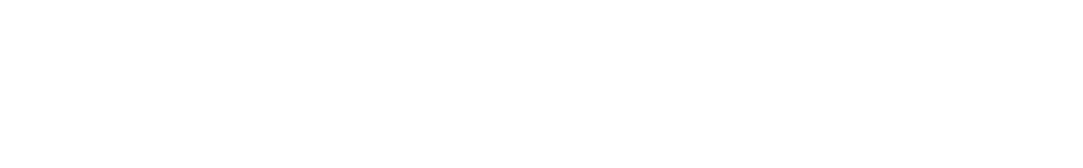 VISA Debit Card