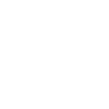 Verified by Visa